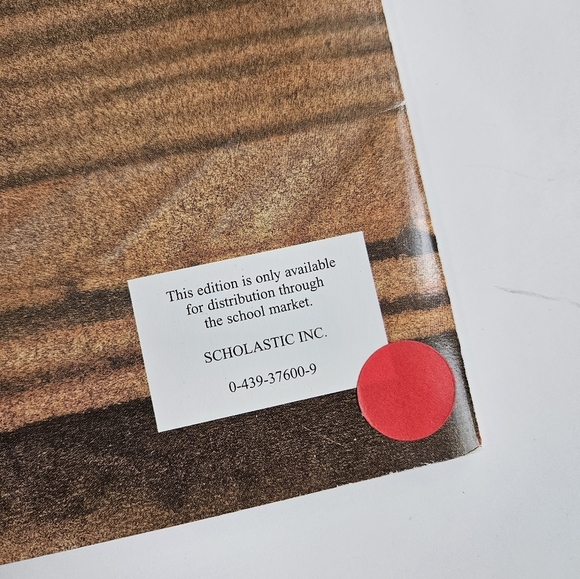 Children's Book Set - Freedom School Yes! and Song of the Swallows - Picture 5 of 9